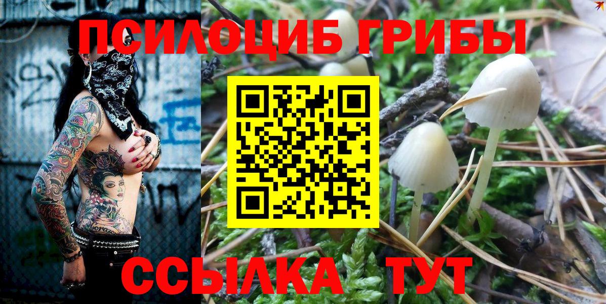 Галлюциногенные грибы мицелий Грозный