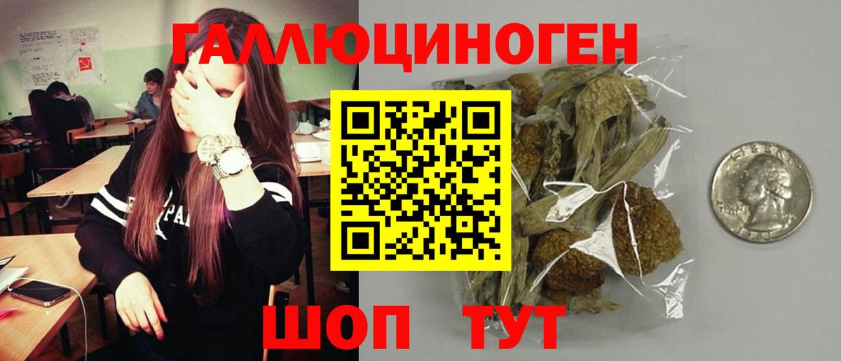 Псилоцибиновые грибы мицелий  Вход с VPN  Галлюциногенные грибы Psilocybe  Грозный 